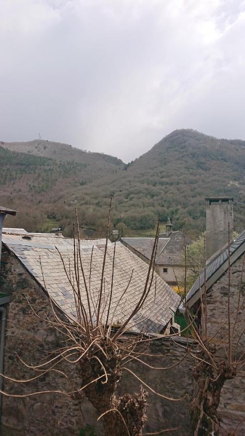 Appartement Dans Ancienne Maison Pyreneenne. Cadéac المظهر الخارجي الصورة